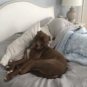 Meet your Posher, Aimee